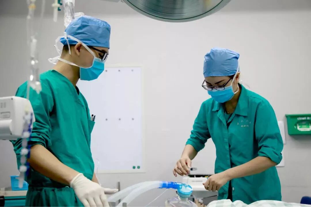 6db72a786f0a5d68531598eb7f67d1ef